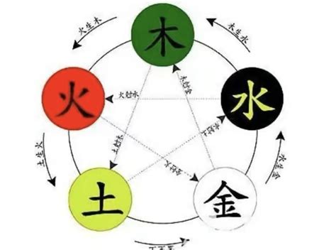 天字五行|天字五行属什么